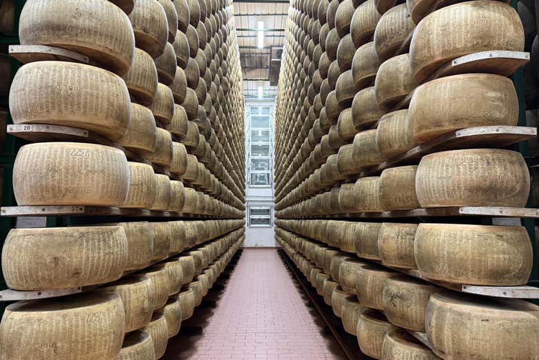Learn all about Parmesan cheese, the king of Italian cheeses